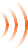 main banner